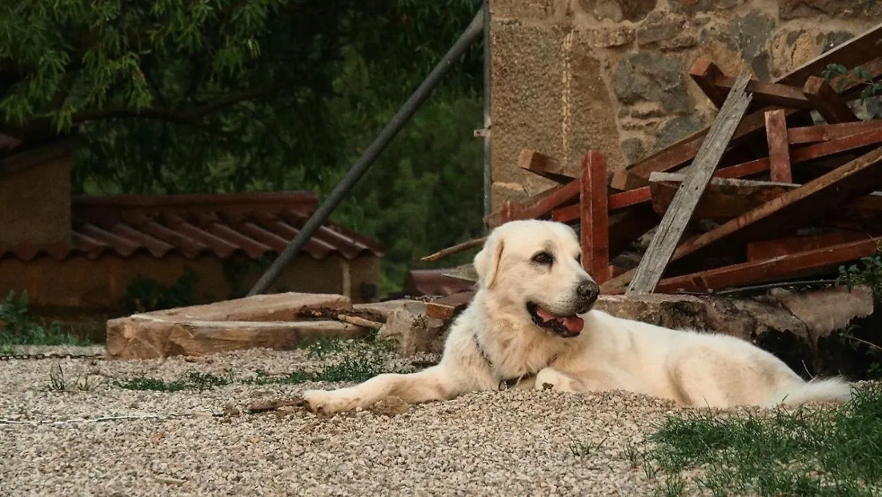 Masia La Clariana Castelltallat Chalet